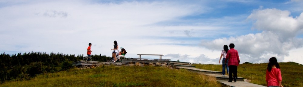 The Yoofamily Story