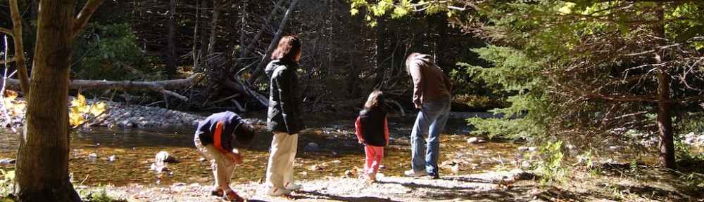 The Yoofamily Story